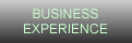 business experience